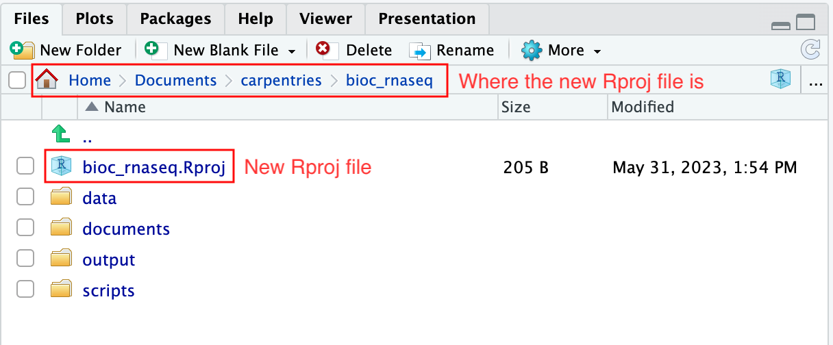 A new .Rproj file should be created in your chosen working directory.