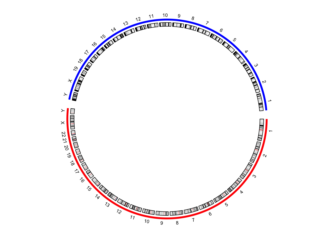 Improved visualization of the combined genome.