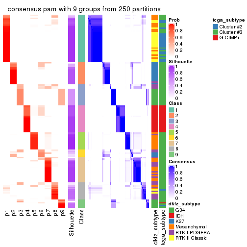 plot of chunk tab-SD-pam-consensus-heatmap-8