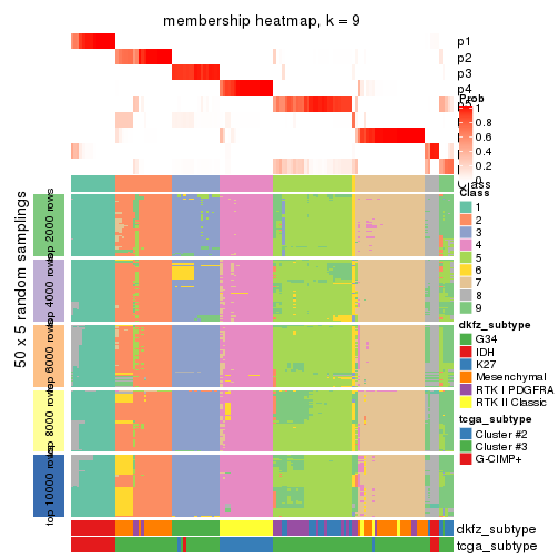 plot of chunk tab-ATC-mclust-membership-heatmap-8