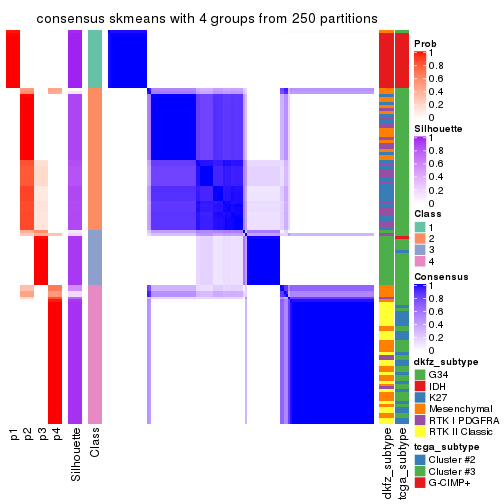 plot of chunk tab-ATC-skmeans-consensus-heatmap-3