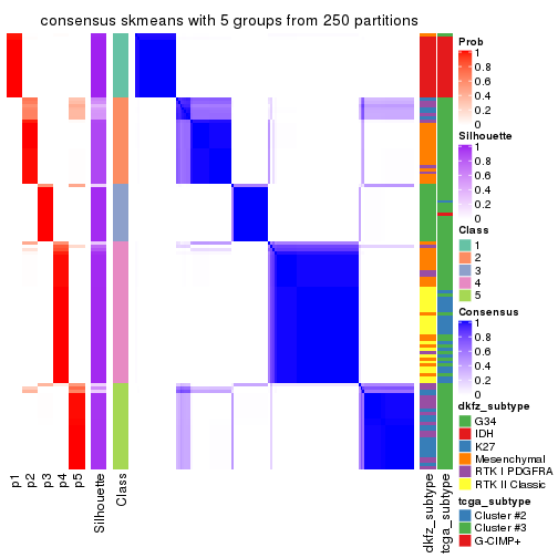 plot of chunk tab-ATC-skmeans-consensus-heatmap-4
