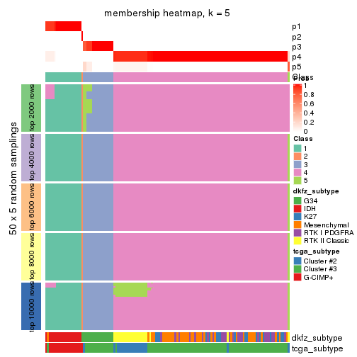 plot of chunk tab-CV-hclust-membership-heatmap-4