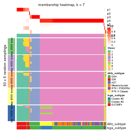 plot of chunk tab-CV-hclust-membership-heatmap-6