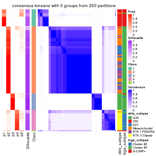 plot of chunk tab-CV-kmeans-consensus-heatmap-4