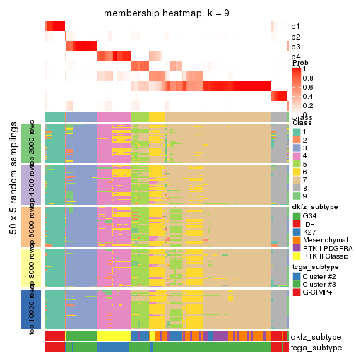 plot of chunk tab-CV-kmeans-membership-heatmap-8