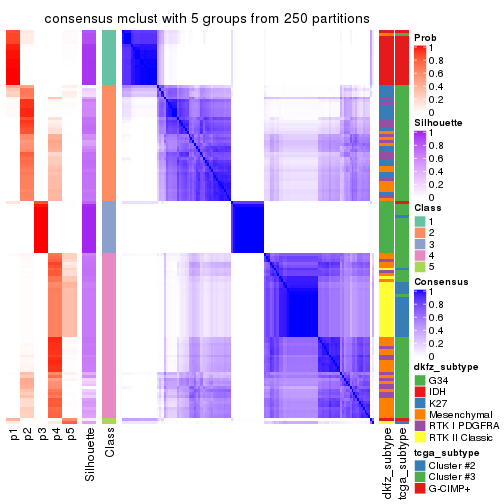 plot of chunk tab-CV-mclust-consensus-heatmap-4