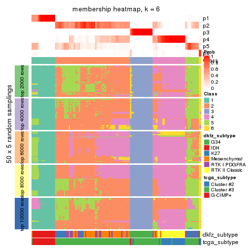 plot of chunk tab-CV-mclust-membership-heatmap-5