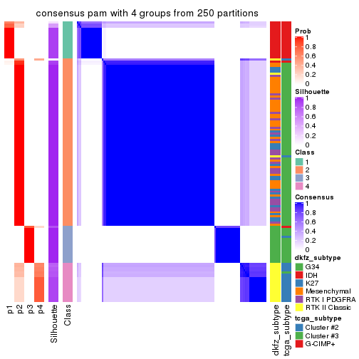 plot of chunk tab-CV-pam-consensus-heatmap-3