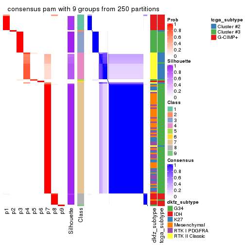 plot of chunk tab-CV-pam-consensus-heatmap-8