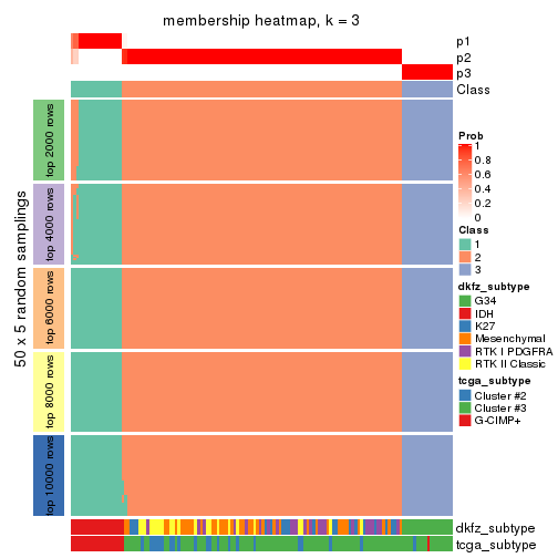 plot of chunk tab-CV-pam-membership-heatmap-2