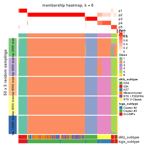plot of chunk tab-CV-pam-membership-heatmap-5
