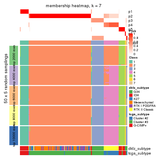 plot of chunk tab-CV-pam-membership-heatmap-6