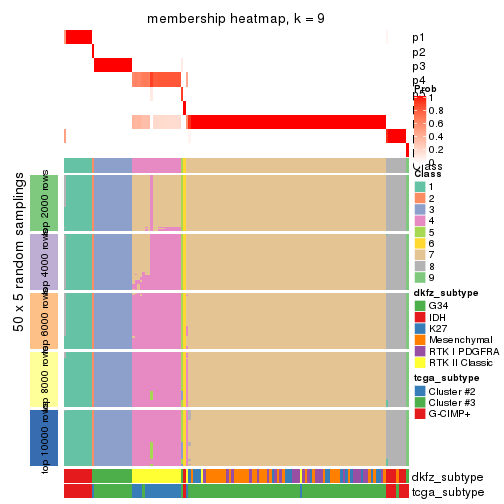 plot of chunk tab-CV-pam-membership-heatmap-8