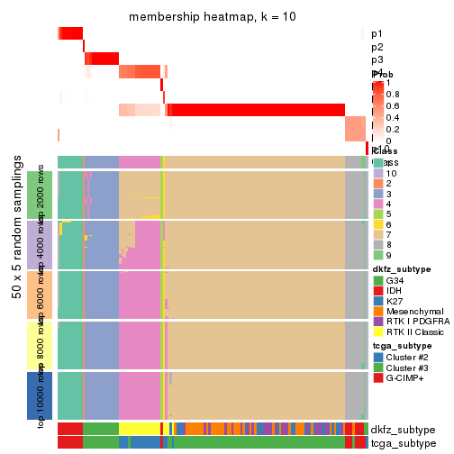 plot of chunk tab-CV-pam-membership-heatmap-9
