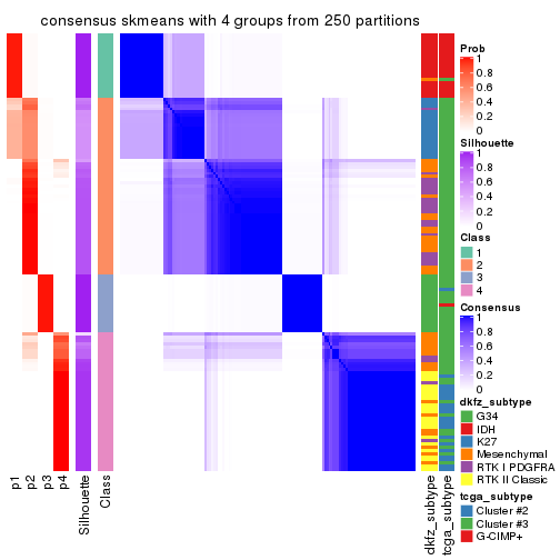plot of chunk tab-CV-skmeans-consensus-heatmap-3