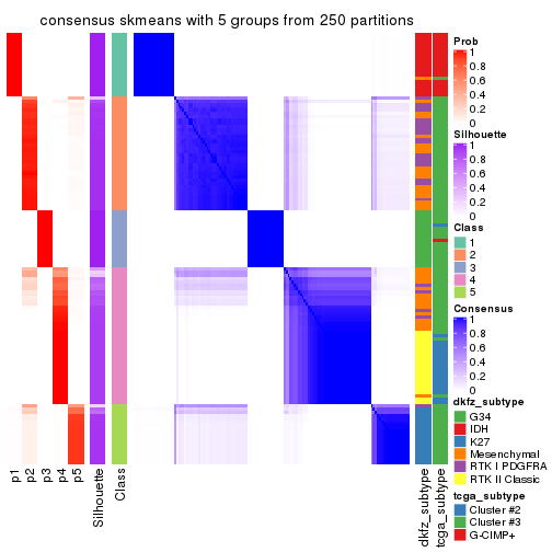 plot of chunk tab-CV-skmeans-consensus-heatmap-4