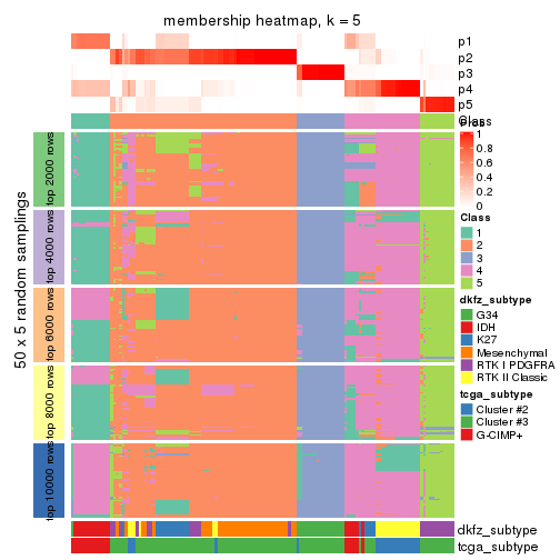 plot of chunk tab-MAD-hclust-membership-heatmap-4