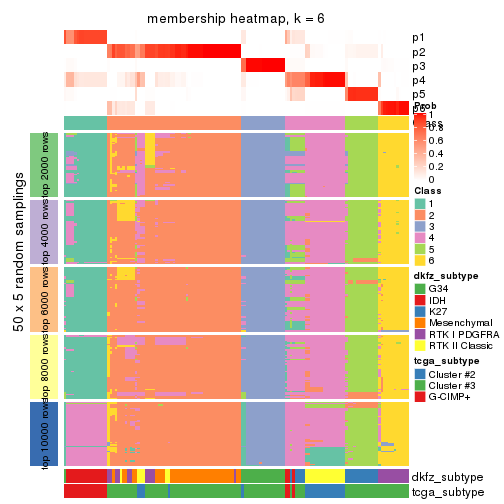 plot of chunk tab-MAD-hclust-membership-heatmap-5