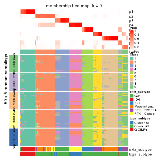 plot of chunk tab-MAD-kmeans-membership-heatmap-8