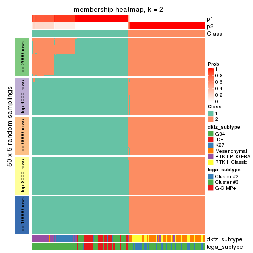 plot of chunk tab-MAD-mclust-membership-heatmap-1