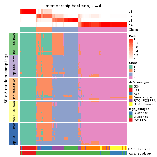 plot of chunk tab-MAD-mclust-membership-heatmap-3