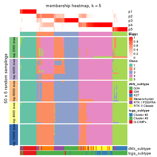 plot of chunk tab-MAD-mclust-membership-heatmap-4