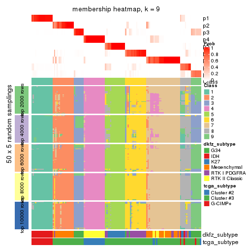 plot of chunk tab-MAD-mclust-membership-heatmap-8