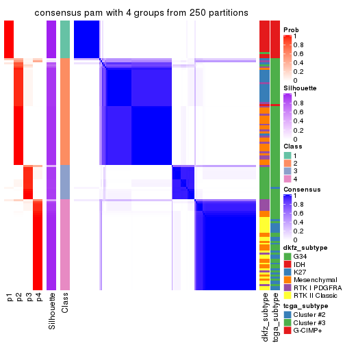 plot of chunk tab-MAD-pam-consensus-heatmap-3