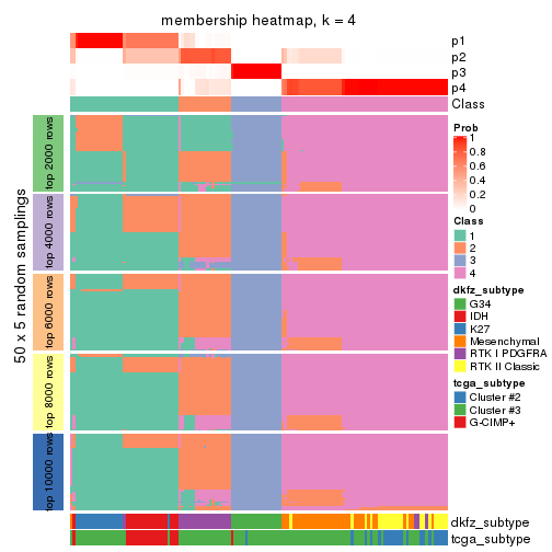 plot of chunk tab-MAD-skmeans-membership-heatmap-3