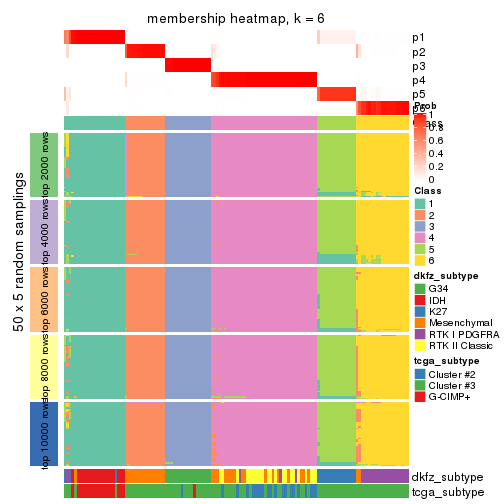 plot of chunk tab-MAD-skmeans-membership-heatmap-5