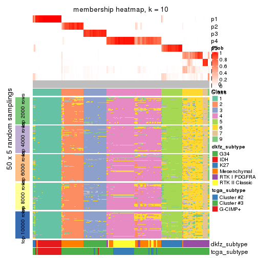 plot of chunk tab-MAD-skmeans-membership-heatmap-9