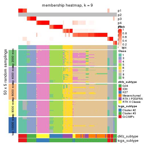 plot of chunk tab-SD-hclust-membership-heatmap-8