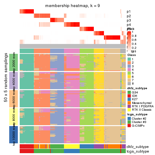 plot of chunk tab-SD-kmeans-membership-heatmap-8