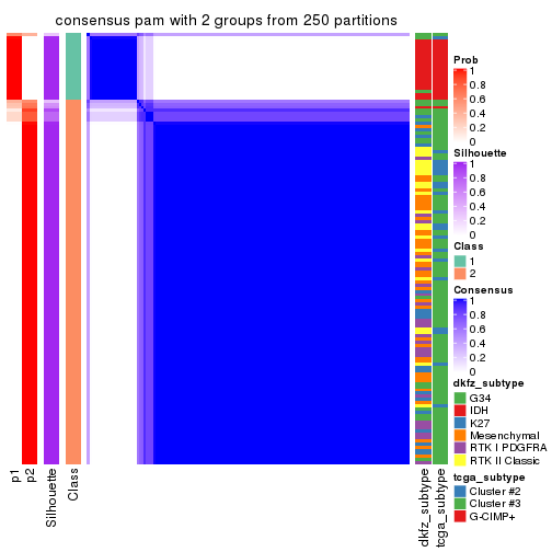plot of chunk tab-SD-pam-consensus-heatmap-1