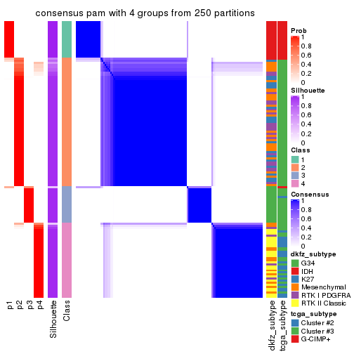 plot of chunk tab-SD-pam-consensus-heatmap-3