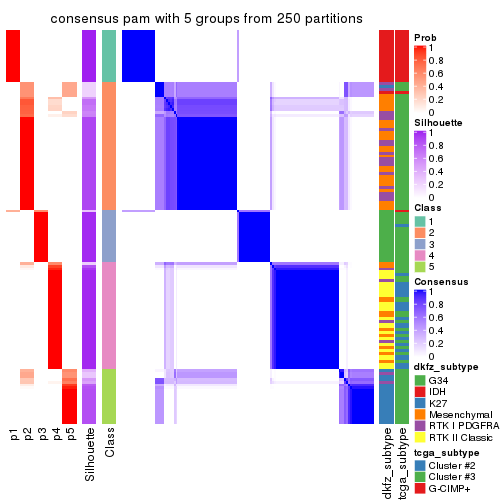 plot of chunk tab-SD-pam-consensus-heatmap-4