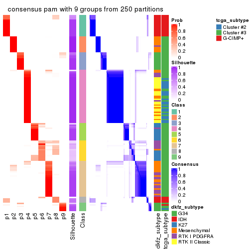 plot of chunk tab-SD-pam-consensus-heatmap-8