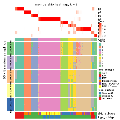 plot of chunk tab-SD-pam-membership-heatmap-8