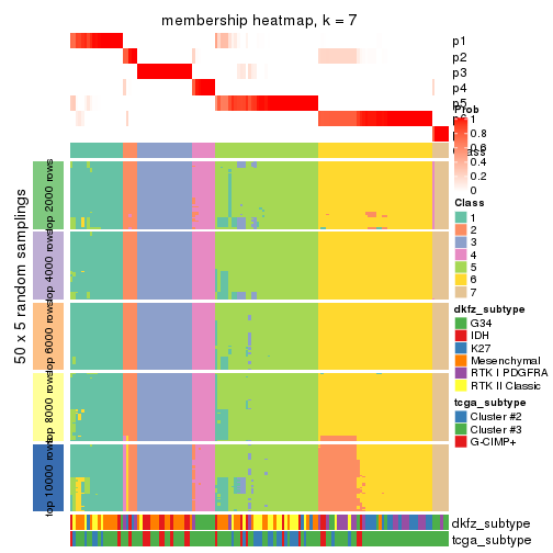 plot of chunk tab-ATC-pam-membership-heatmap-6