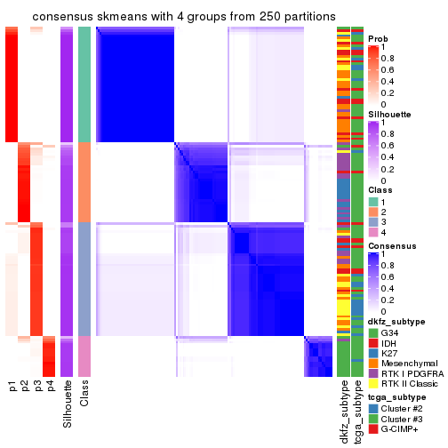 plot of chunk tab-ATC-skmeans-consensus-heatmap-3