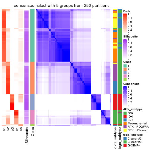 plot of chunk tab-CV-hclust-consensus-heatmap-4