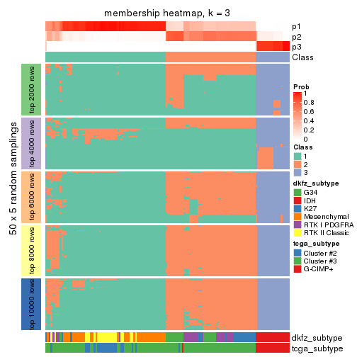 plot of chunk tab-CV-hclust-membership-heatmap-2