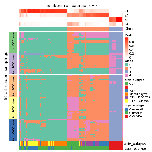 plot of chunk tab-CV-hclust-membership-heatmap-3