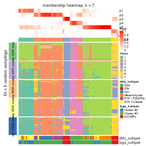 plot of chunk tab-CV-hclust-membership-heatmap-6
