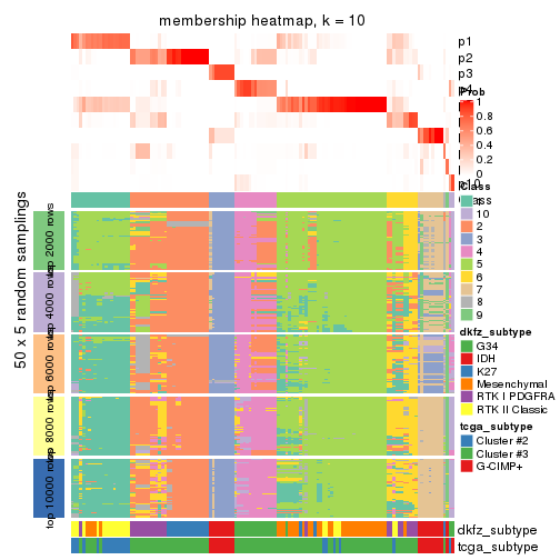 plot of chunk tab-CV-hclust-membership-heatmap-9