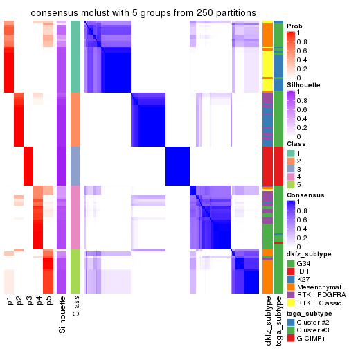plot of chunk tab-CV-mclust-consensus-heatmap-4