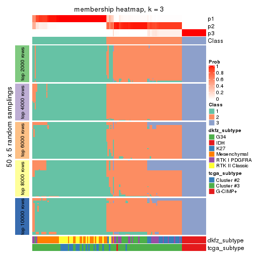 plot of chunk tab-CV-mclust-membership-heatmap-2