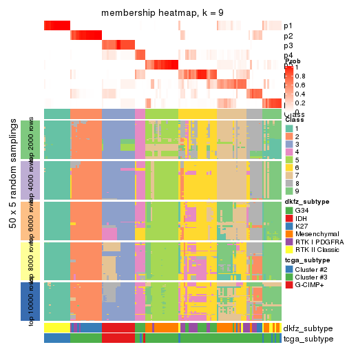 plot of chunk tab-CV-mclust-membership-heatmap-8