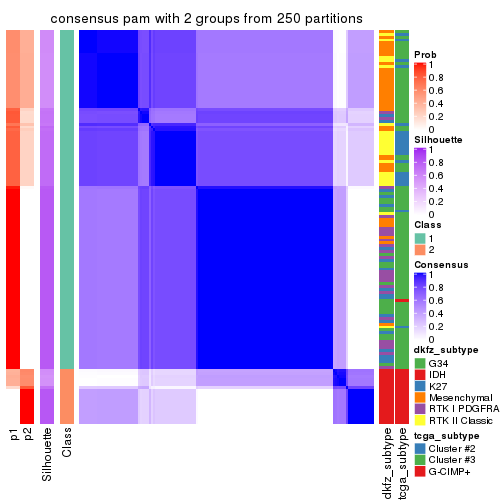 plot of chunk tab-CV-pam-consensus-heatmap-1